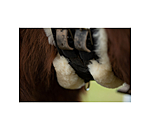 Icelandic Sheepskin Dressage Girth