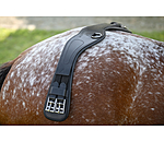 Leather Short Girth Anatomical