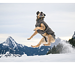 Winter Dog Coat Eddie with Fleece Lining, 200g