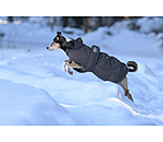 Winter Dog Coat Eddie with Fleece Lining, 200g