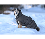 Winter Dog Coat Eddie with Fleece Lining, 200g