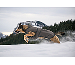 Winter Dog Coat Eddie with Fleece Lining, 200g