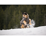 Winter Dog Coat Eddie with Fleece Lining, 200g