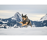 Winter Dog Coat Eddie with Fleece Lining, 200g