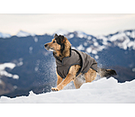 Winter Dog Coat Eddie with Fleece Lining, 200g