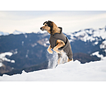 Winter Dog Coat Eddie with Fleece Lining, 200g