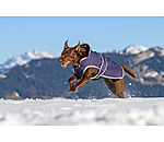 Winter Dog Coat Eddie with Fleece Lining, 200g