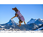 Winter Dog Coat Eddie with Fleece Lining, 200g