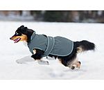 Dog Coat Eddie with Fleece Lining 200 g