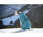 Winter Dog Coat Eddie with Fleece Lining, 200g