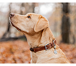 Collar Rope