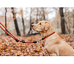Collar Rope
