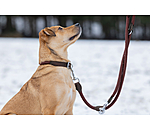 Dog Lead Rope