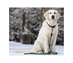 Dog Lead Rope