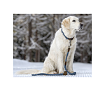 Dog Lead Rope