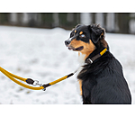 Dog Lead Rope