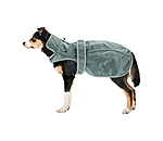 Dog Raincoat Ally 2 in 1