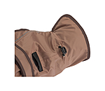 2-in-1 Dog Raincoat Ally