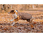 2-in-1 Dog Raincoat Ally