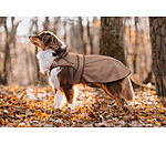 2-in-1 Dog Raincoat Ally