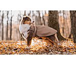 2-in-1 Dog Raincoat Ally