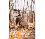 2-in-1 Dog Raincoat Ally