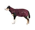 Dog Raincoat Ally 2 in 1