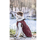 Dog Raincoat Ally 2 in 1