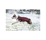 Dog Raincoat Ally 2 in 1