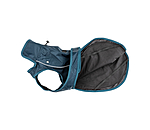 2-in-1 Dog Raincoat Ally
