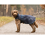 2-in-1 Dog Raincoat Ally