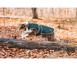 Dog Raincoat Eldoro II with Fleece Undercoat