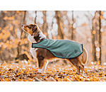 Dog Raincoat Eldoro II with Fleece Undercoat