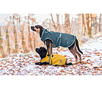 Dog Raincoat Eldoro II with Fleece Undercoat