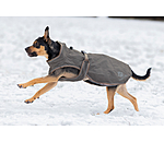 Dog Raincoat Eldoro II with Fleece Undercoat