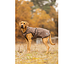 Dog Raincoat Eldoro II with Fleece Undercoat