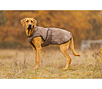 Dog Raincoat Eldoro II with Fleece Undercoat