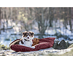 Dog Sleeping Bag Sirius