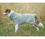 Drying Cape Dry Dog II