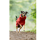 Drying Cape Dry Dog II
