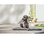 Dog Cushion Let Me Sleep