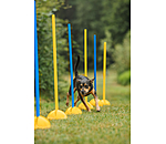 Agility Pole