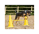 Agility Cones