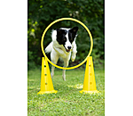 Agility Cones
