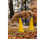 Agility Hoop