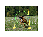 Agility Hoop