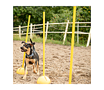Agility Stands