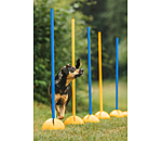 Agility Stands