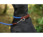 Dog Collar Coloured Rope