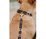 Leather Dog Collar and Lead Polo Sports